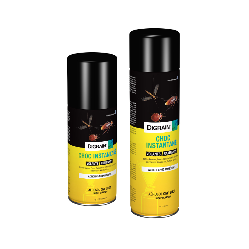 Insecticide one shot DIGRAIN Choc Instantané NG, aérosol automatique contre insectes volants et rampants