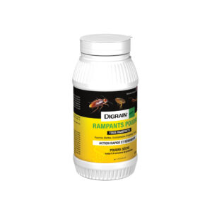 Boîte de poudre insecticide rampants DIGRAIN avec bec applicateur pour traiter fissures, plinthes et cafards