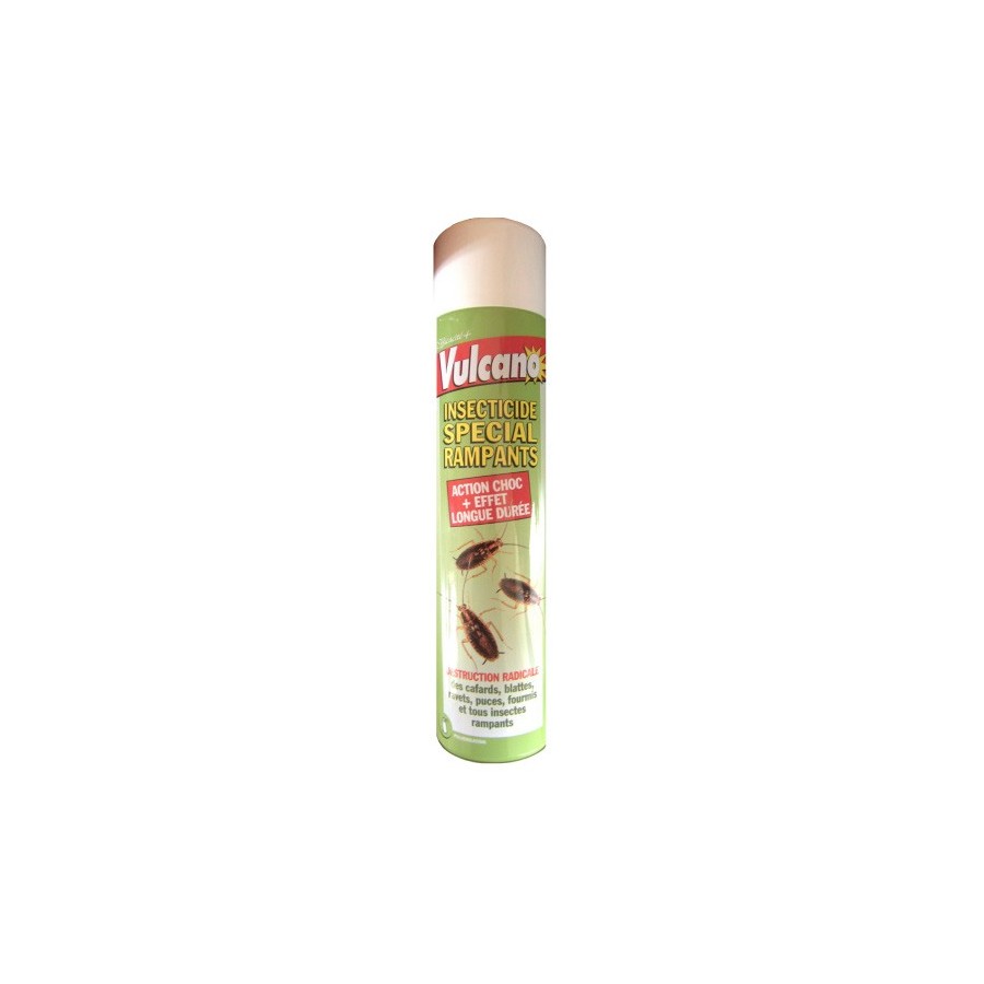 Insecticide rampants 600 ml en aérosol pour cafards, fourmis et araignées