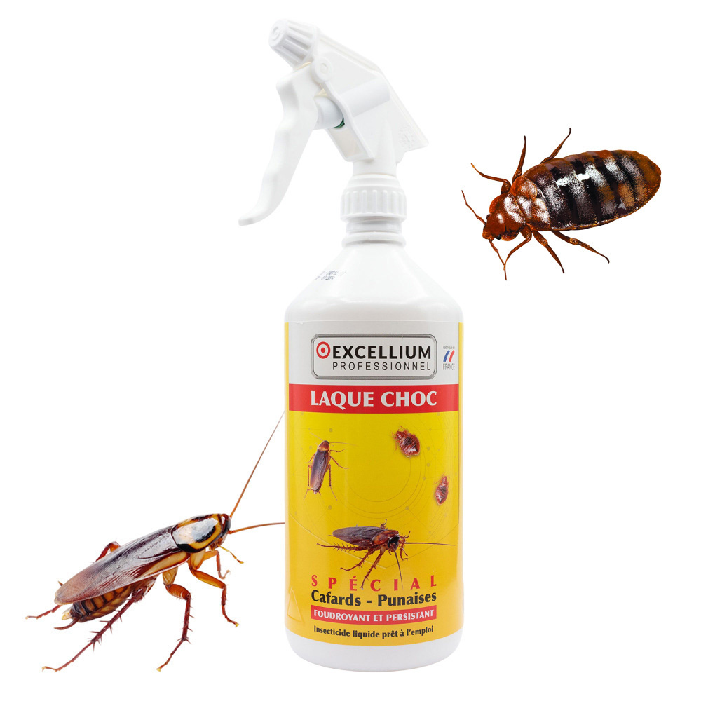 Laque choc insecticide 1 L en flacon pour traiter cafards et punaises de lit